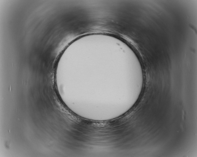 X0000102221415200808221235