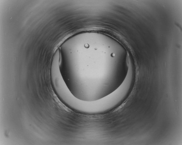 X0000102221417200808221235