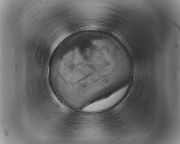 X0000102221418200808221235