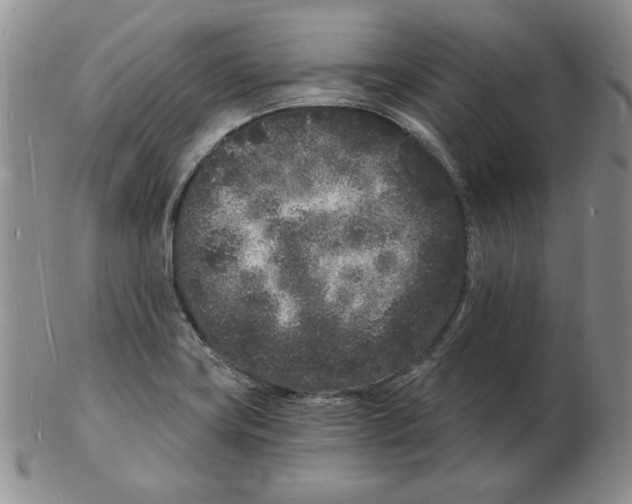 X0000102221419200808221235