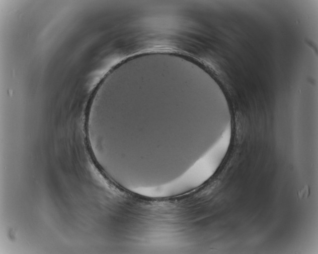 X0000102221422200808221235