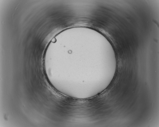 X0000102221423200808221235