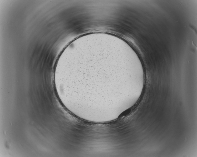 X0000102221424200808221236