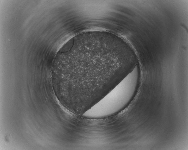 X0000102221425200808221236