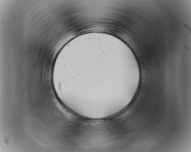 X0000102221426200808221236