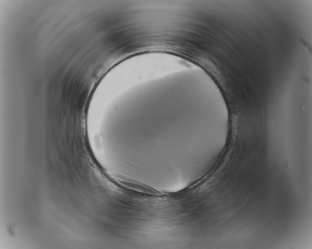 X0000102221428200808221236