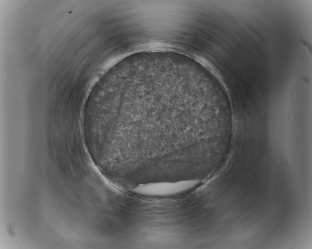 X0000102221429200808221236