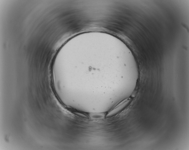 X0000102221430200808221236