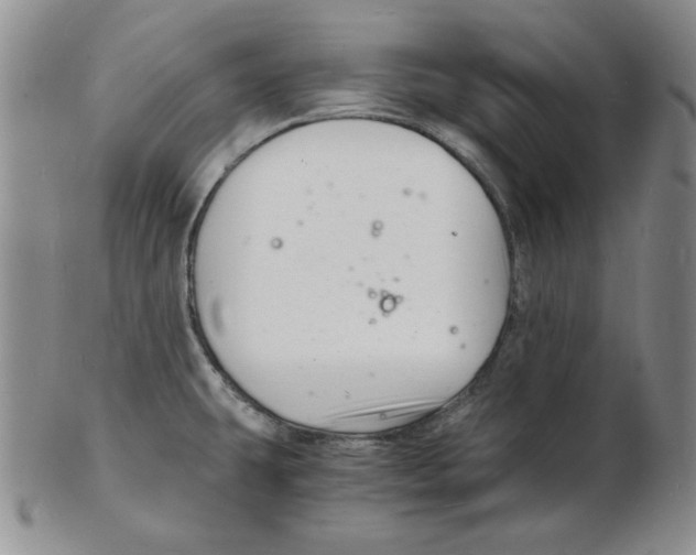 X0000102221431200808221236