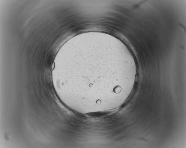 X0000102221433200808221236