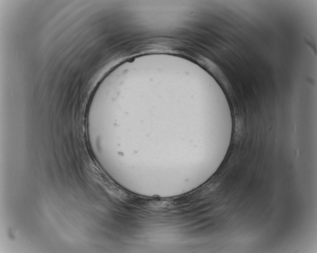 X0000102221435200808221236