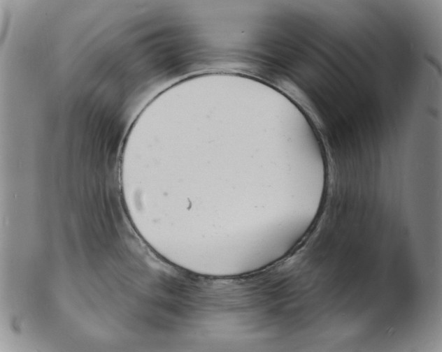 X0000102221436200808221236