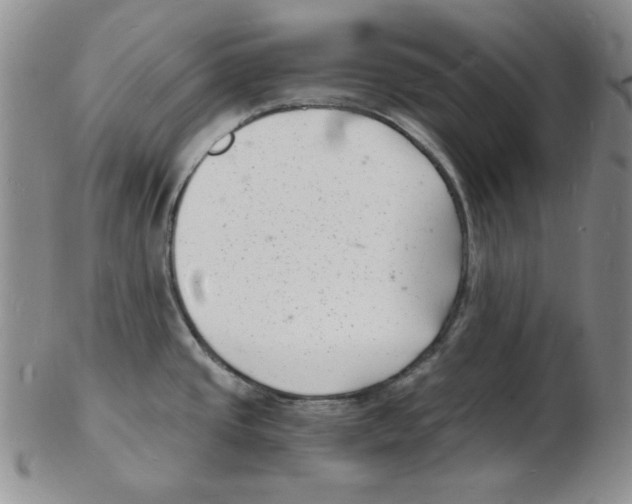 X0000102221437200808221236