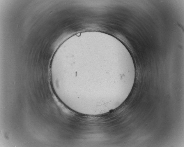 X0000102221439200808221236