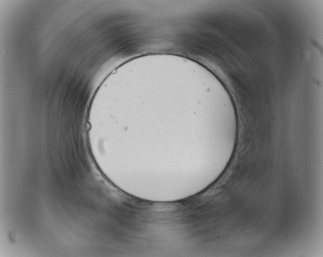 X0000102221440200808221236