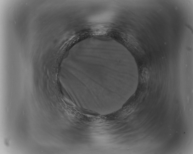 X0000102221441200808221235