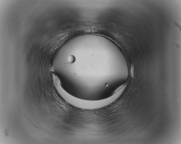 X0000102221444200808221235