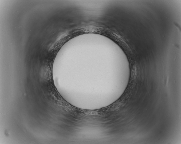 X0000102221446200808221235