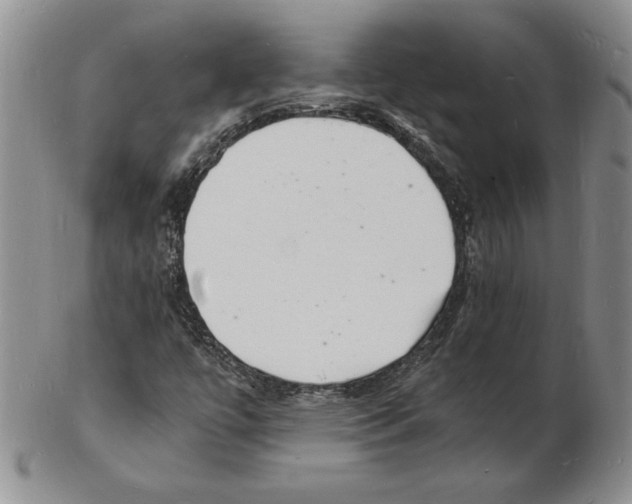 X0000102221447200808221235