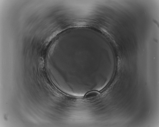 X0000102221449200808221235