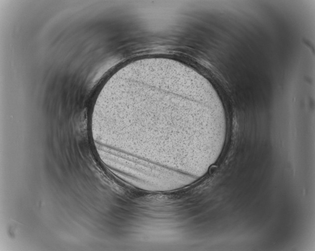 X0000102221450200808221235