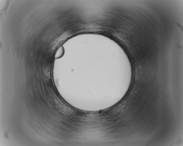 X0000102221451200808221235