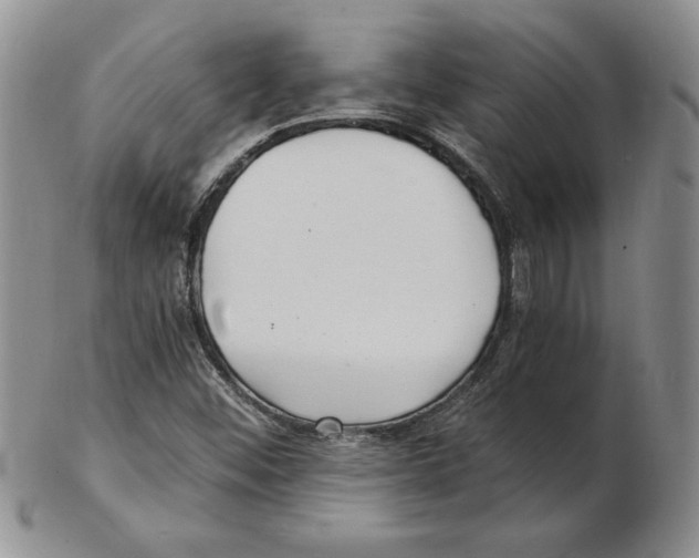 X0000102221452200808221235