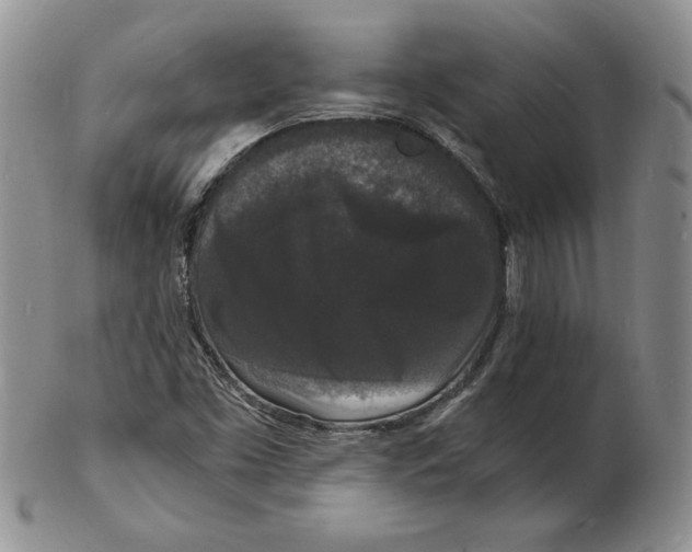 X0000102221453200808221235