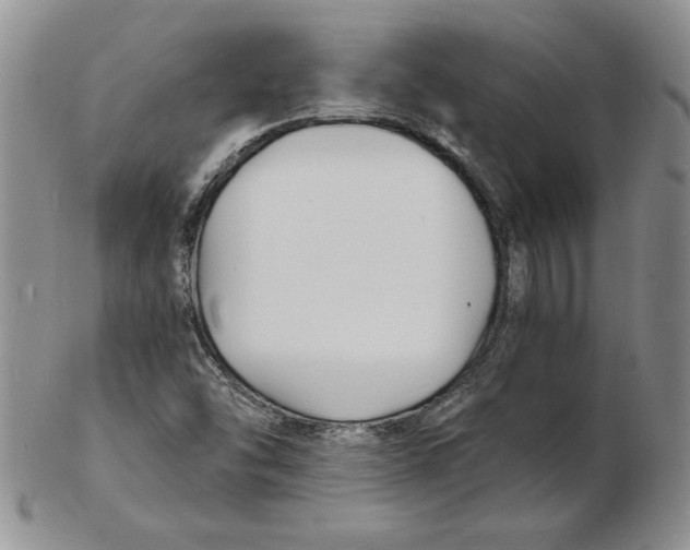 X0000102221454200808221235