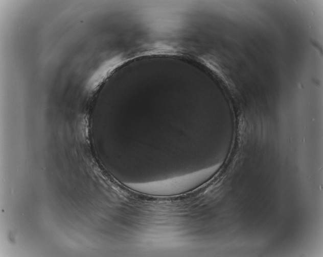 X0000102221455200808221235