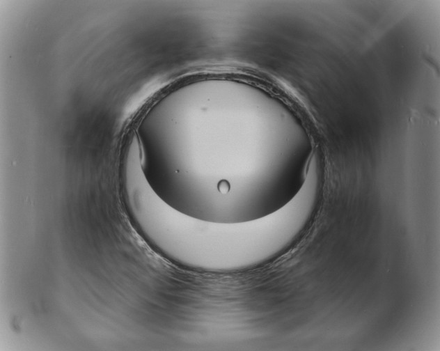 X0000102221456200808221235