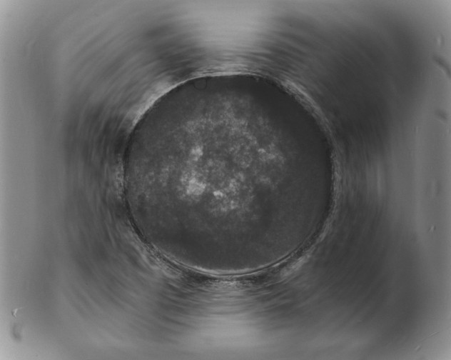 X0000102221457200808221235