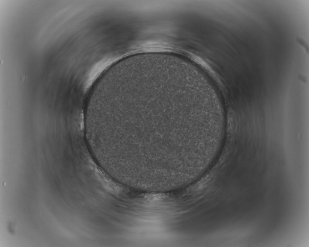 X0000102221461200808221235