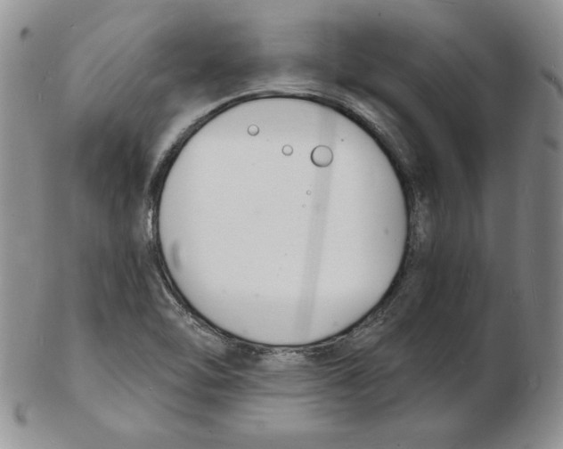 X0000102221462200808221235