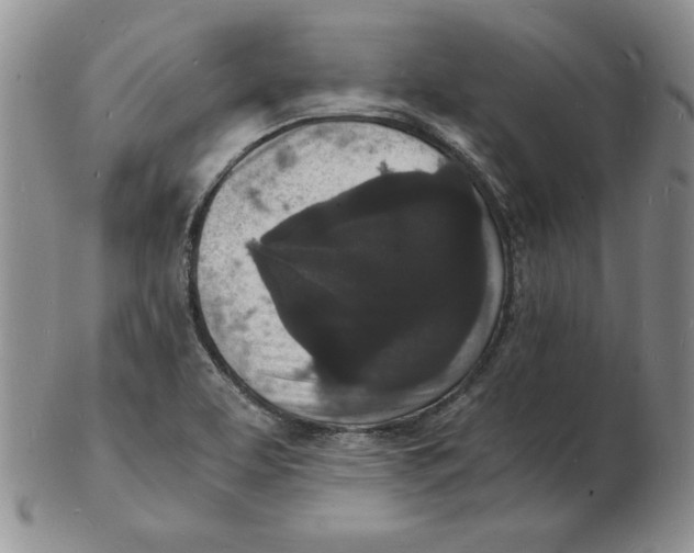 X0000102221463200808221235