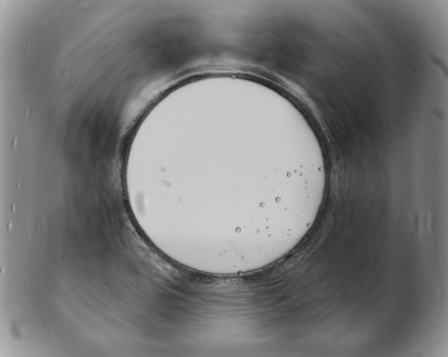 X0000102221464200808221235