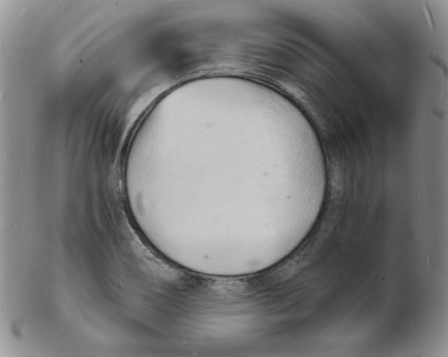 X0000102221466200808221235