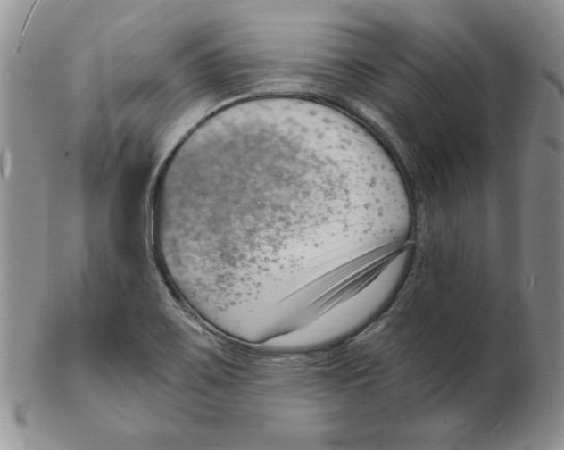 X0000102221467200808221235