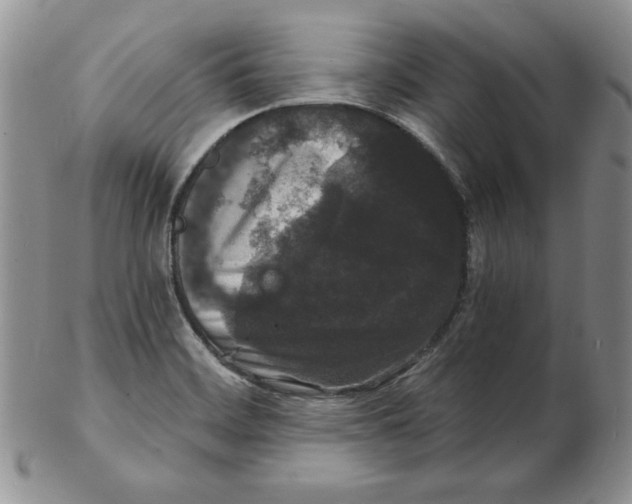 X0000102221468200808221235