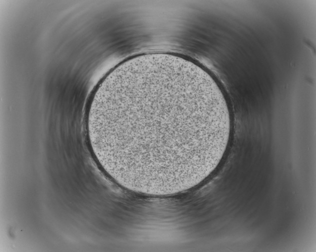 X0000102221469200808221235