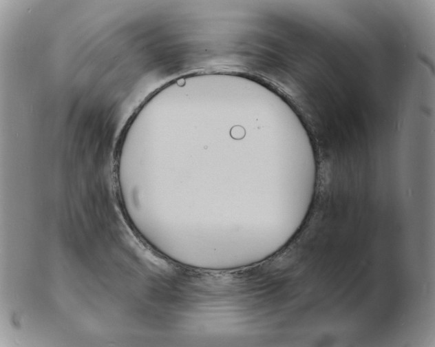 X0000102221470200808221235