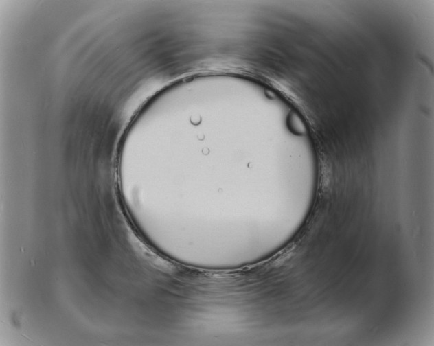 X0000102221471200808221235