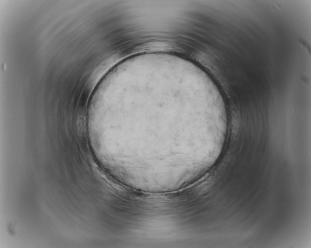 X0000102221473200808221235