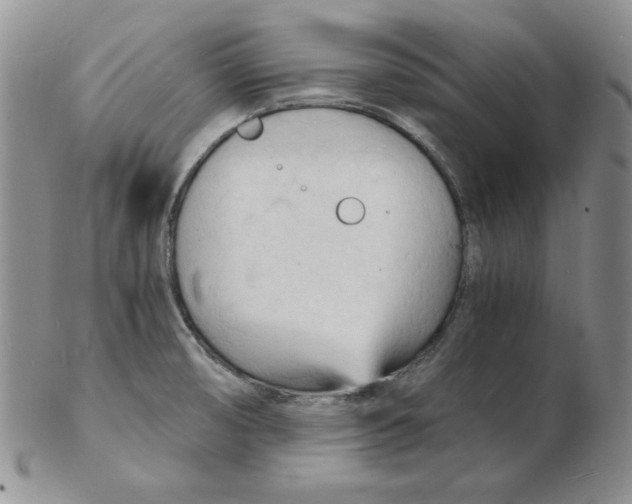 X0000102221474200808221235