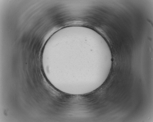 X0000102221475200808221235