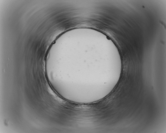 X0000102221476200808221235