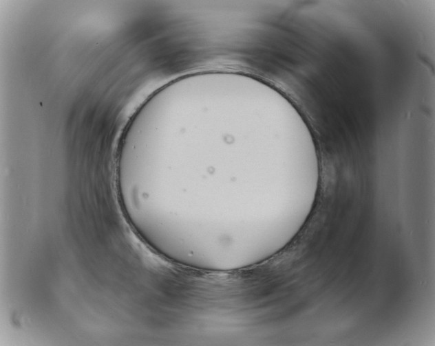 X0000102221478200808221235