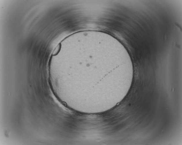 X0000102221479200808221235