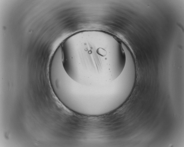 X0000102221480200808221235