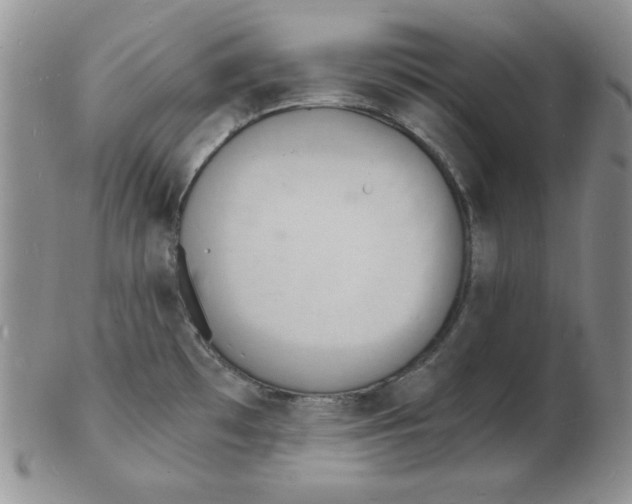 X0000102221481200808221235